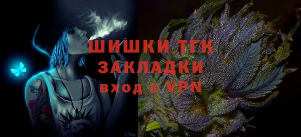 твердый Белокуриха