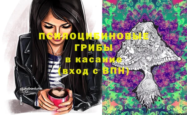 сатива Белоозёрский