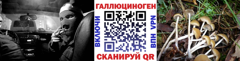 ОМГ ОМГ tor даркнет сайт Сызрань Галлюциногенные грибы Psilocybe